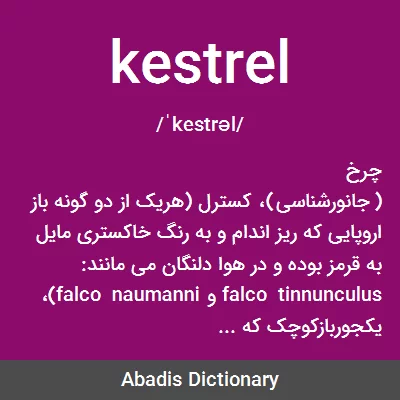معنی kestrel