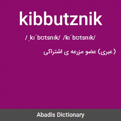 معنی kibbutznik