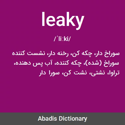معنی leaky