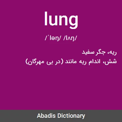 معنی lung