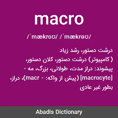 معنی macro
