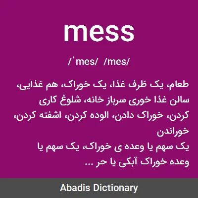 معنی mess