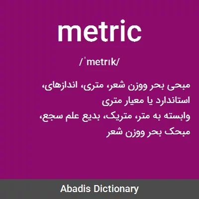 معنی metric