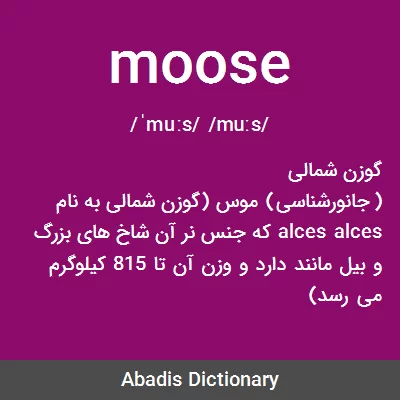 معنی moose