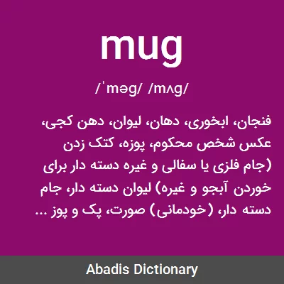 معنی mug