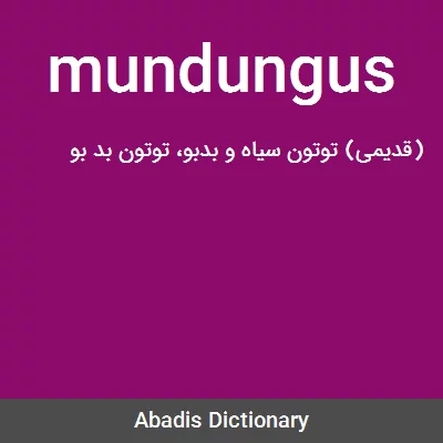 معنی mundungus