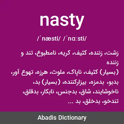 معنی nasty