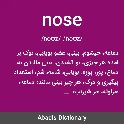 معنی nose