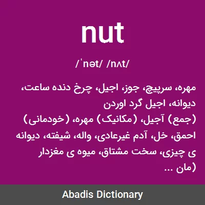 معنی nut