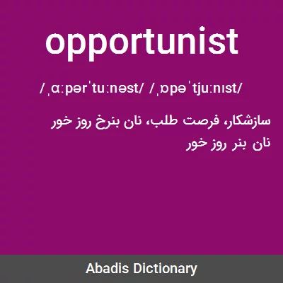 معنی opportunist