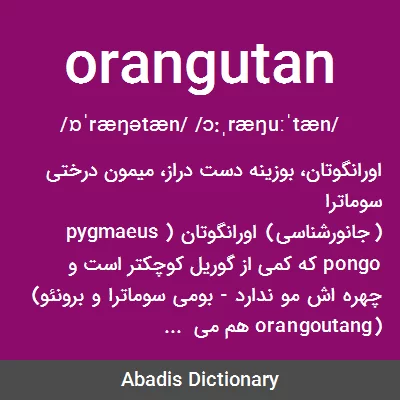معنی orangutan