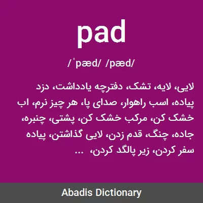 معنی pad