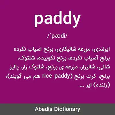معنی paddy
