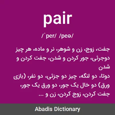 معنی pair