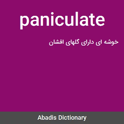 معنی paniculate