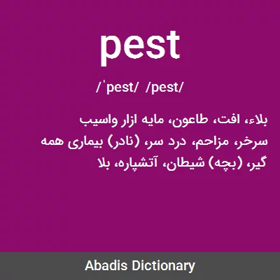 معنی pest