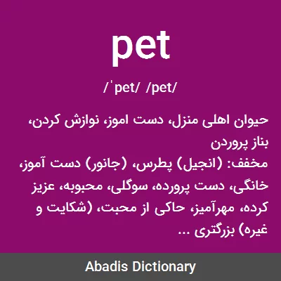 معنی pet