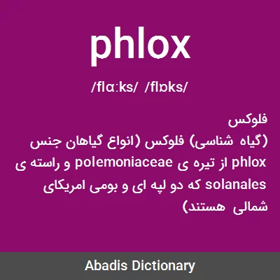 معنی phlox