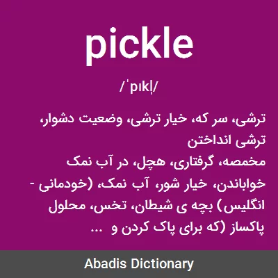 معنی pickle
