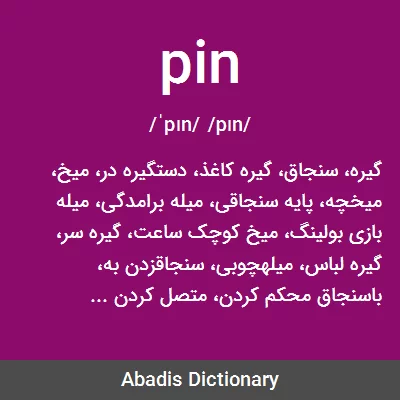 معنی pin