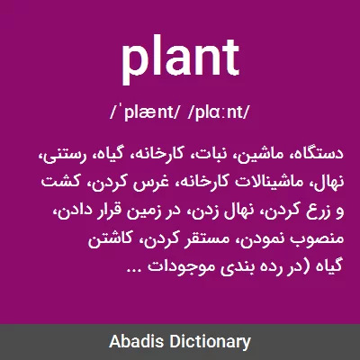 معنی plant