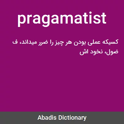 معنی pragamatist