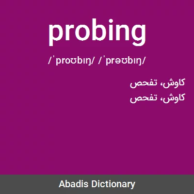 معنی probing