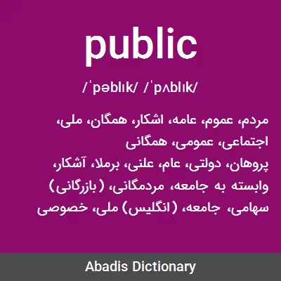 معنی public