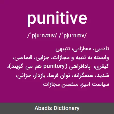 معنی punitive
