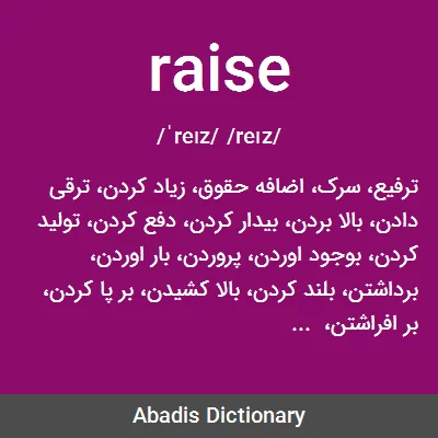 معنی raise