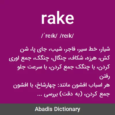 معنی rake
