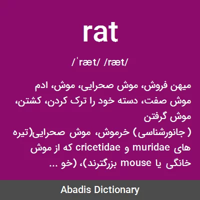 معنی rat