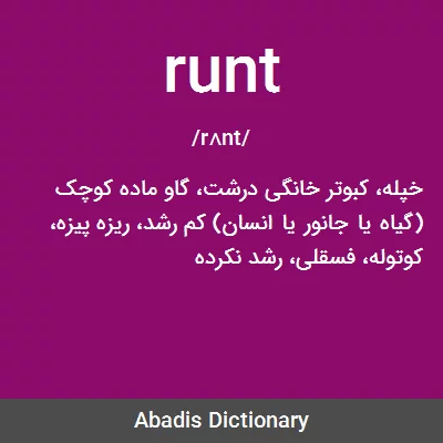 معنی runt