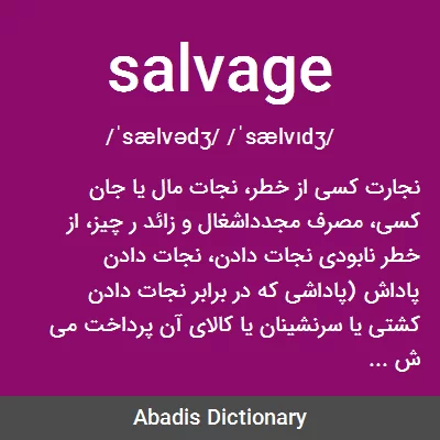 معنی salvage