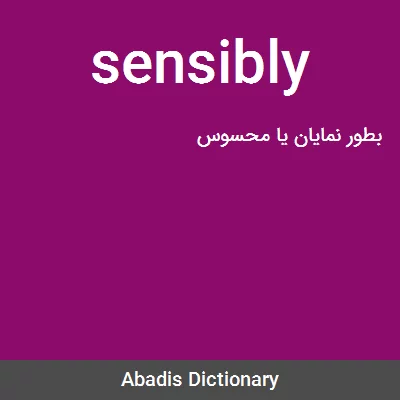 معنی sensibly