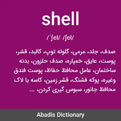 معنی shell