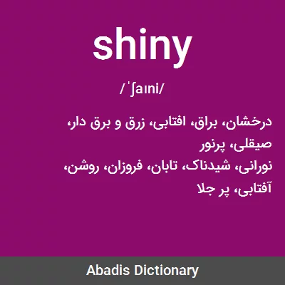 معنی shiny