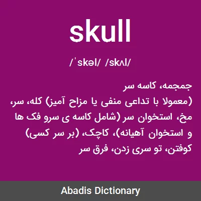 معنی skull