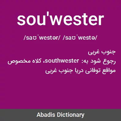 معنی sou