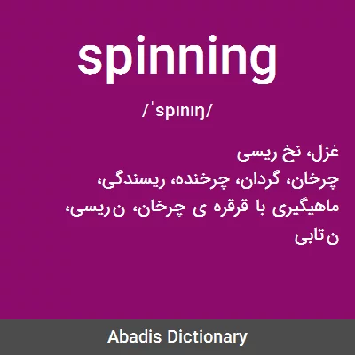 معنی spinning