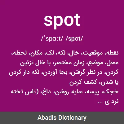 معنی spot
