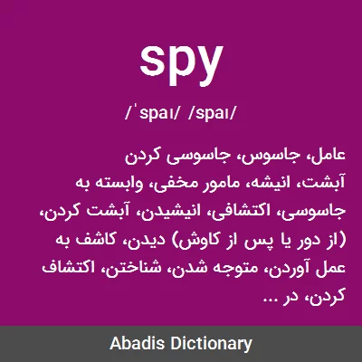 معنی spy