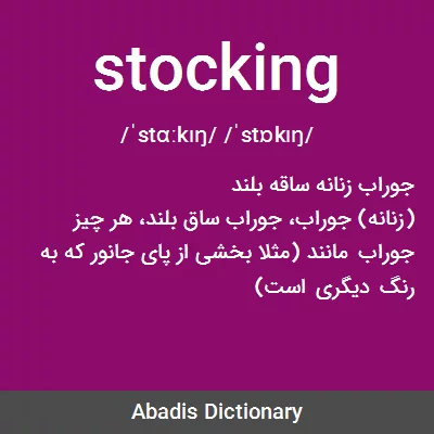 معنی stocking