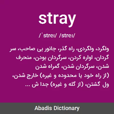 معنی stray