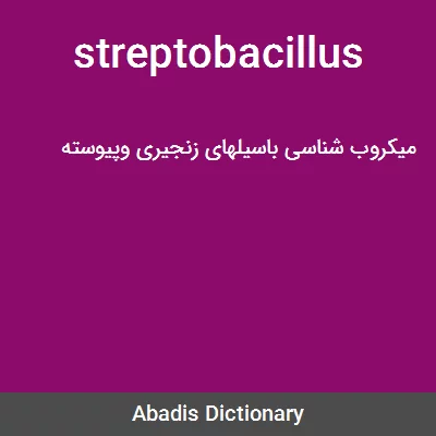 معنی streptobacillus