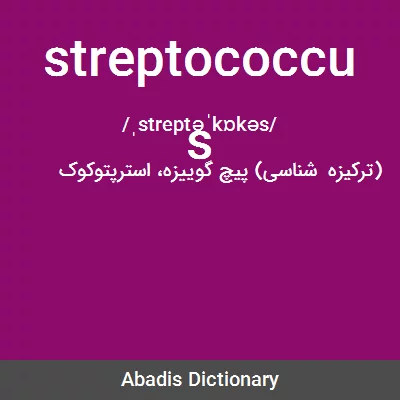 معنی streptococcus