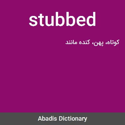 معنی stubbed