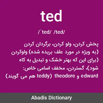 معنی ted
