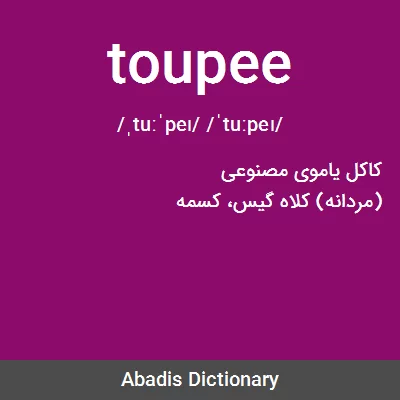 معنی toupee