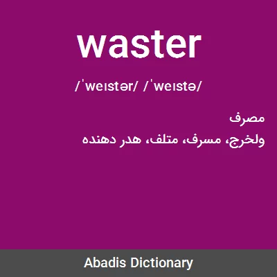 معنی waster